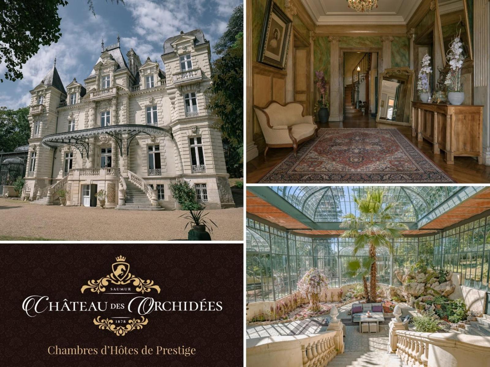 Chateau Des Orchidees En Val De Loire Saumur Exterior photo